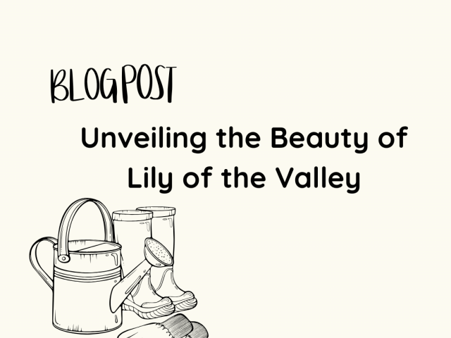 Unveiling the Beauty of Lily of the Valley