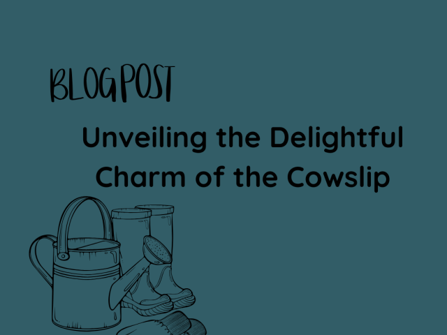 Unveiling the Delightful Charm of the Cowslip