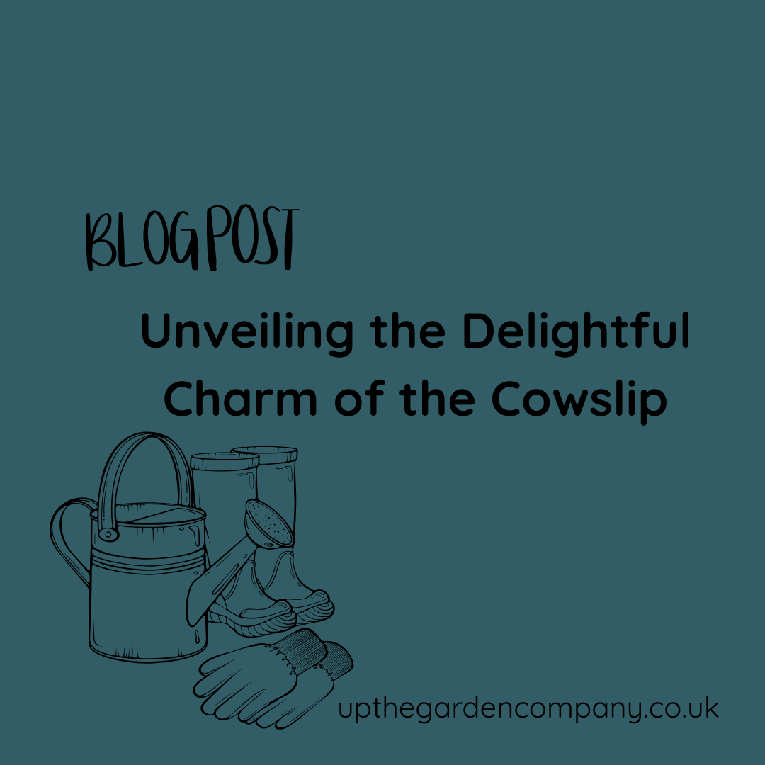Unveiling the Delightful Charm of the Cowslip