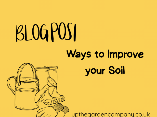 Ways to Improve your Soil