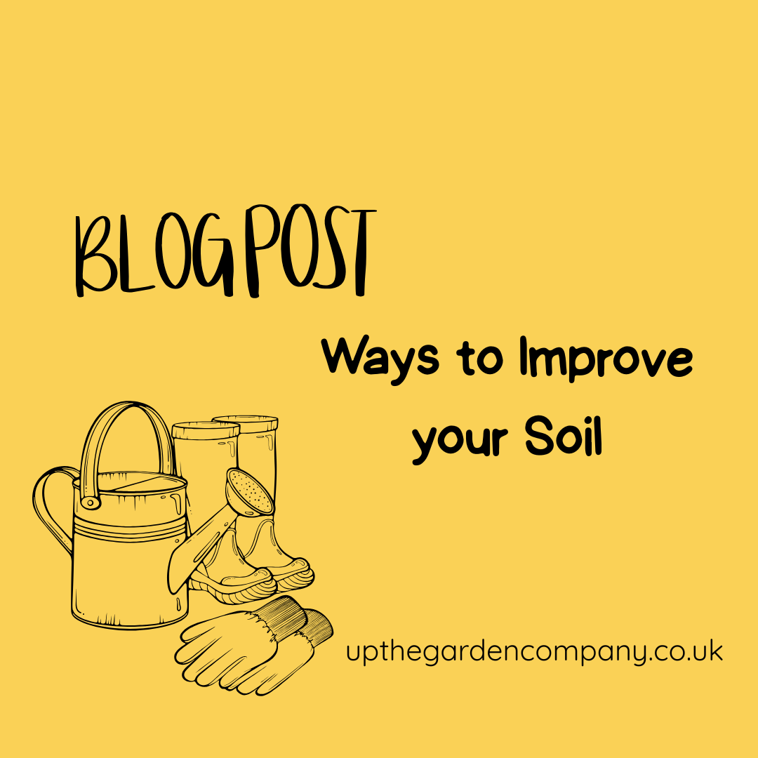 Ways to Improve your Soil