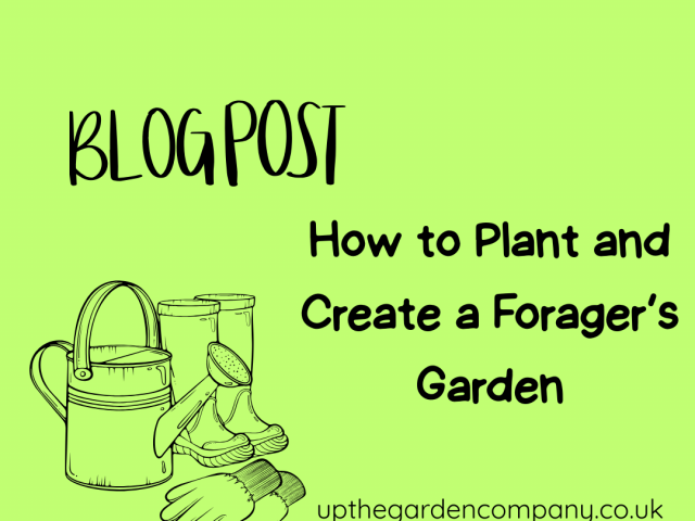 How to Plan and Create a Forager’s Garden