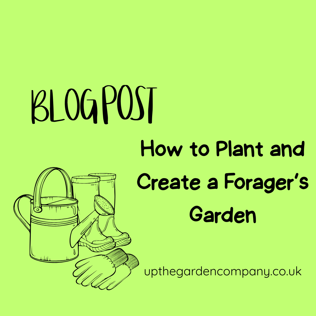 How to Plant and Create a Forager's Garden