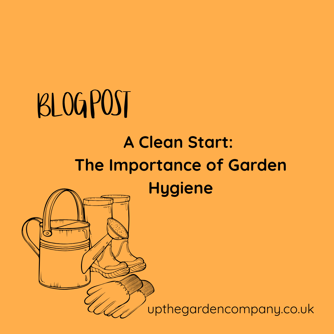 A Clean Start: The Importance of Garden Hygiene