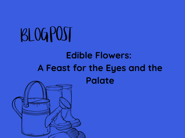 Edible Flowers: A Feast for the Eyes and the Palate