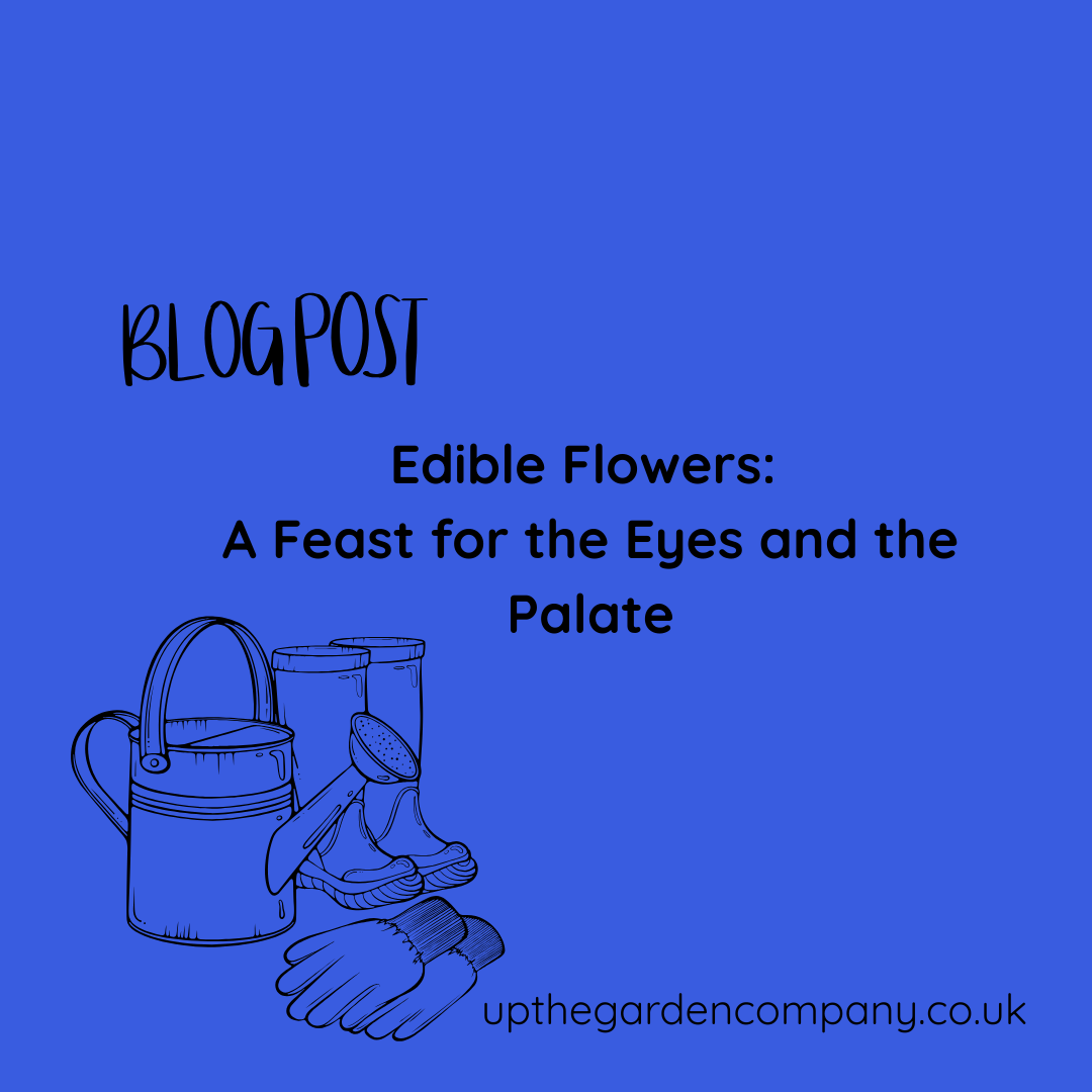 Edible Flowers: A Feast for the Eyes and the Palate