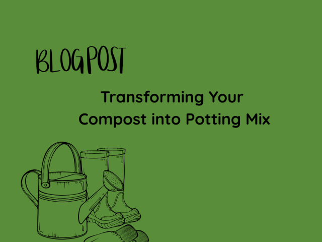 Transforming Your Compost into Potting Mix