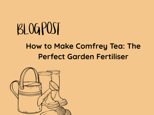 How to Make Comfrey Tea: The Perfect Garden Fertiliser