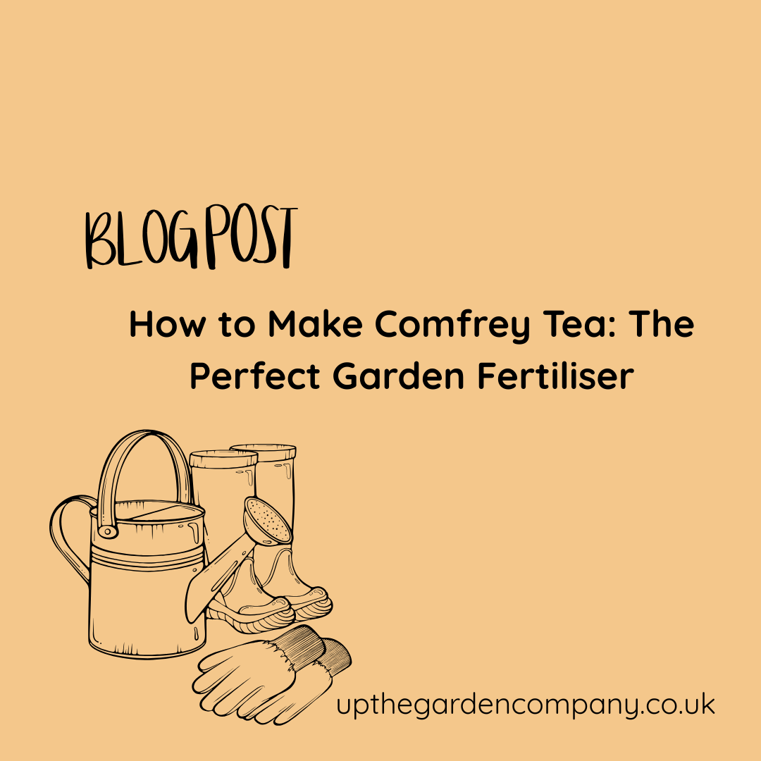 How to Make Comfrey Tea: The Perfect Garden Fertiliser