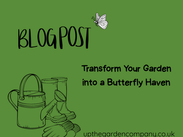 Transform Your Garden into a Butterfly Haven