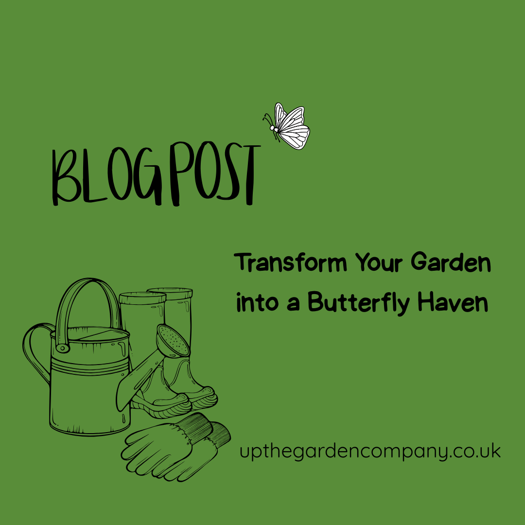 Transform Your Garden into a Butterfly Haven