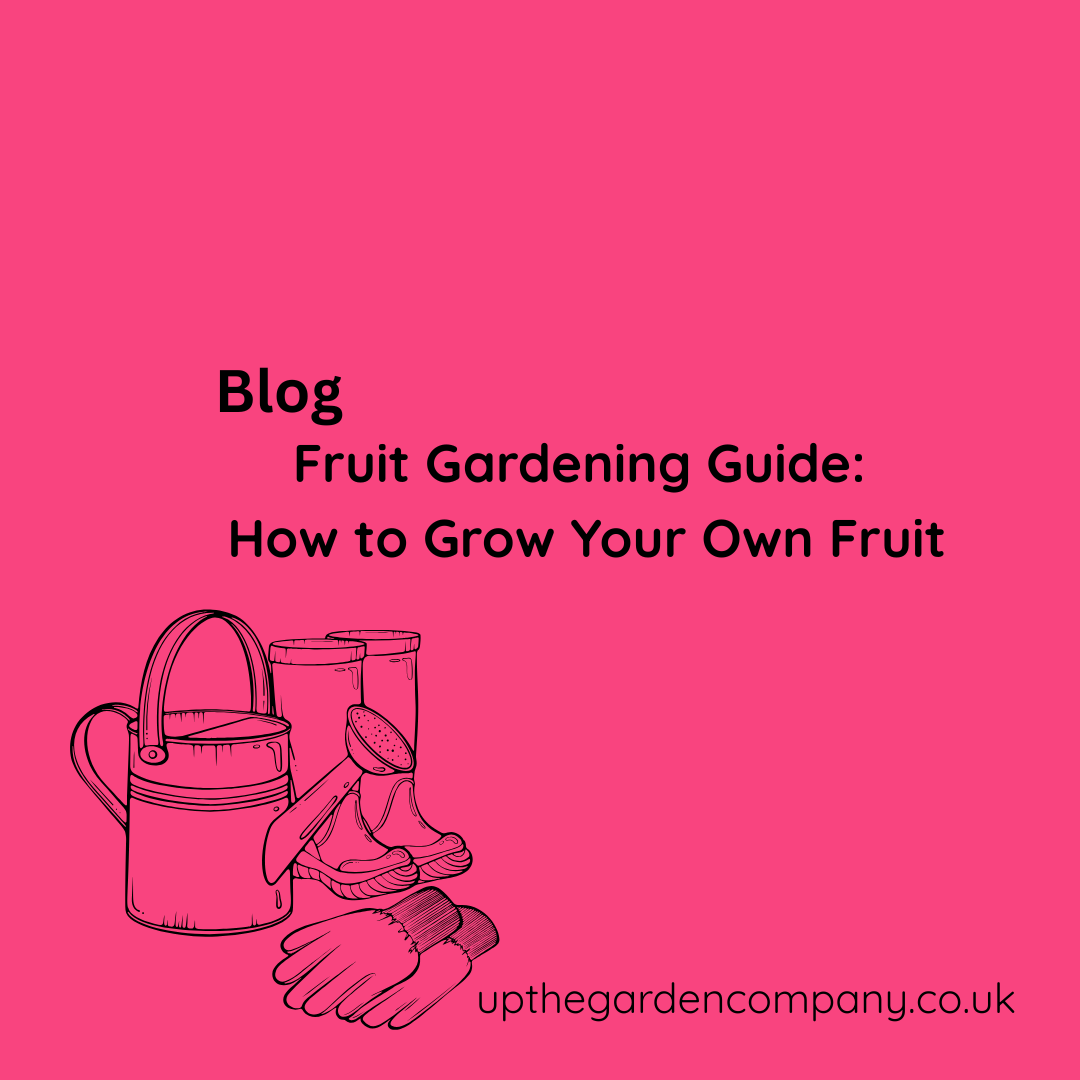Fruit Gardening Guide: How to Grow Your Own Fruit