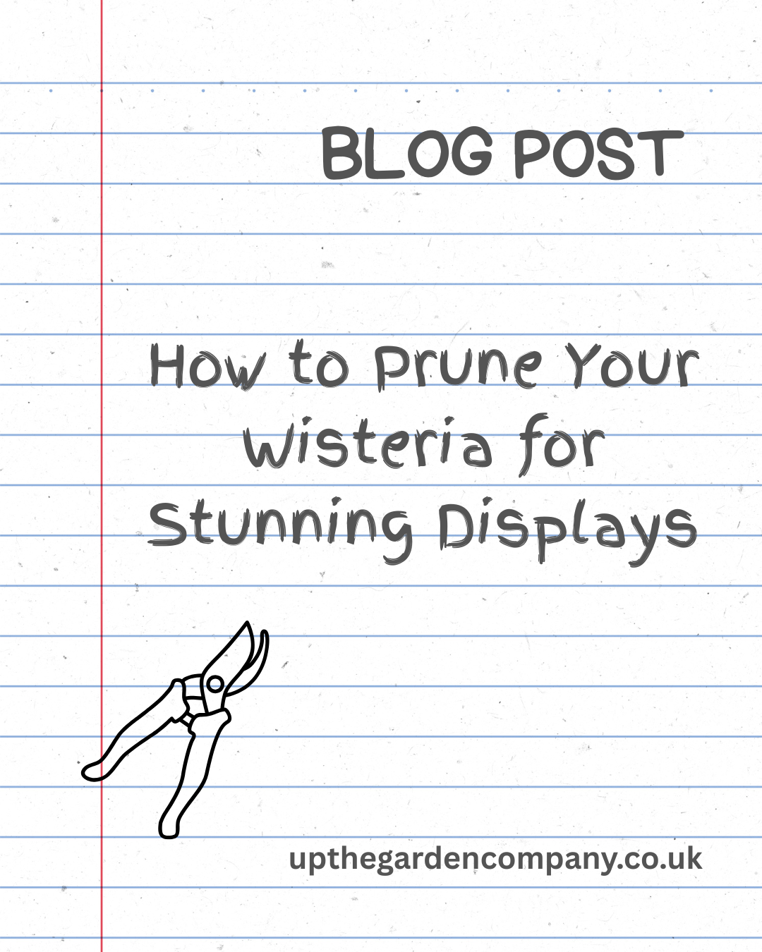 Blog Post. How to Prune your Wisteria for Stunning Displays.