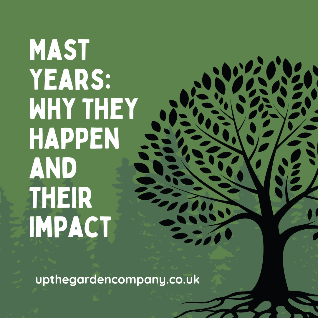 Mast Years: Why They Happen and Their Impact