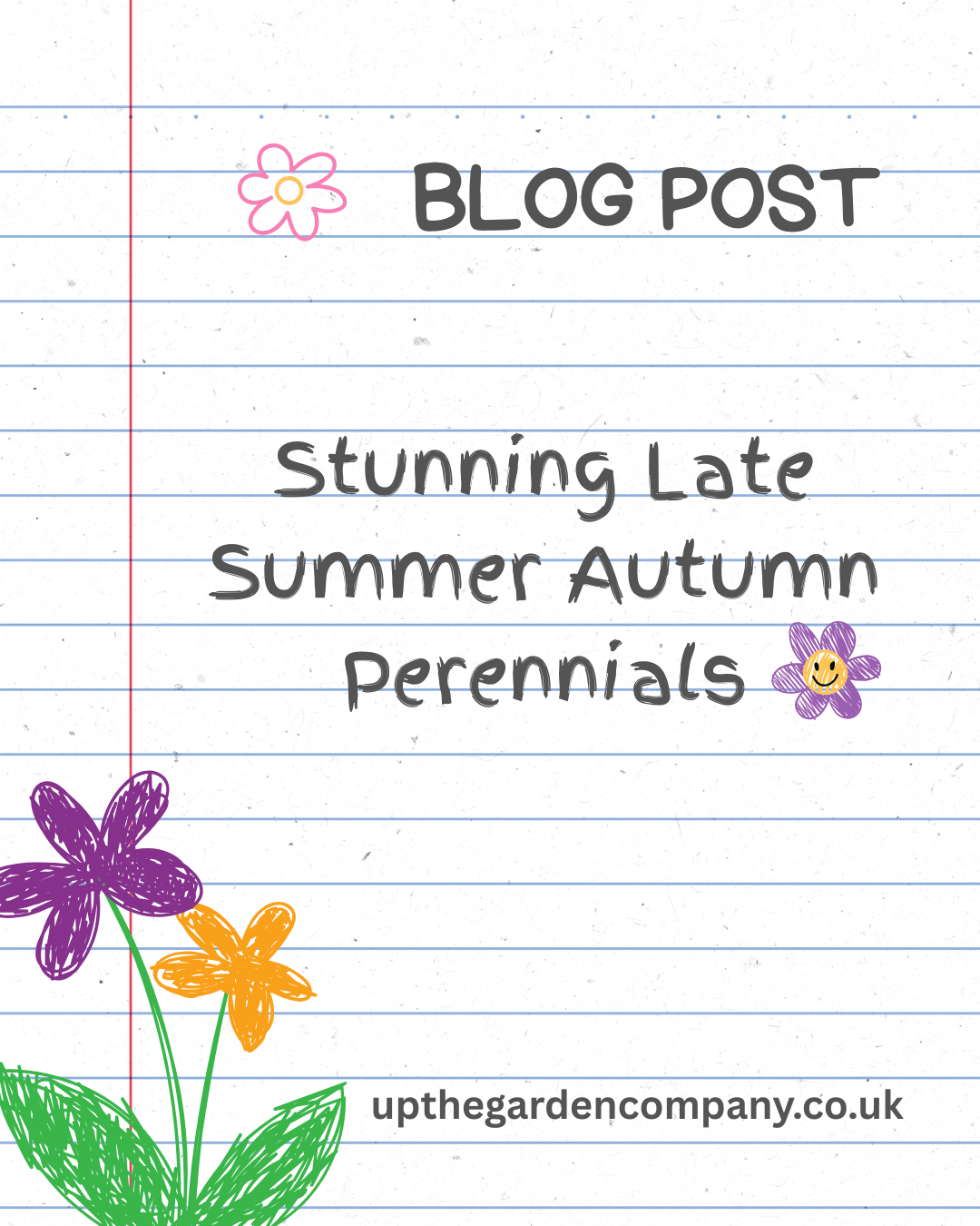 Stunning Late Summer Autumn Perennials