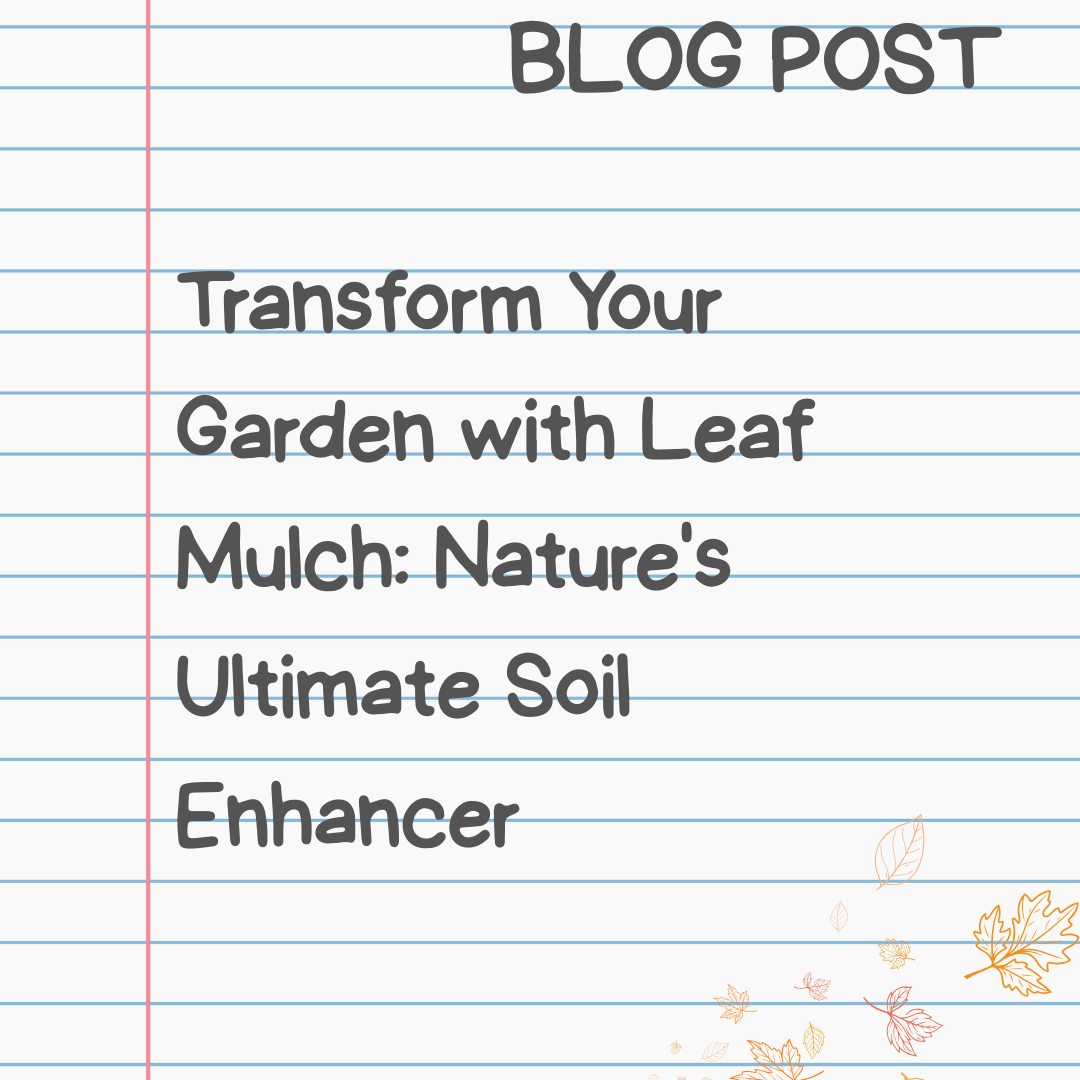 Transform Your Garden with Leaf Mulch: Nature’s Ultimate Soil Enhancer