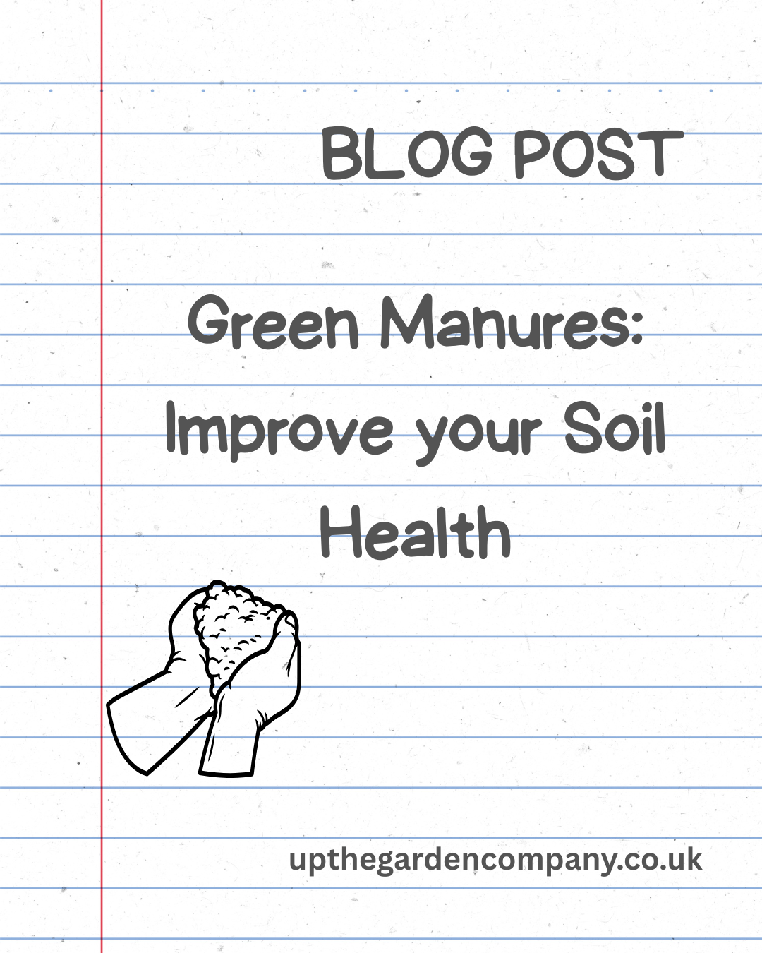 Blog: Green Manures: Improve your Soil Health