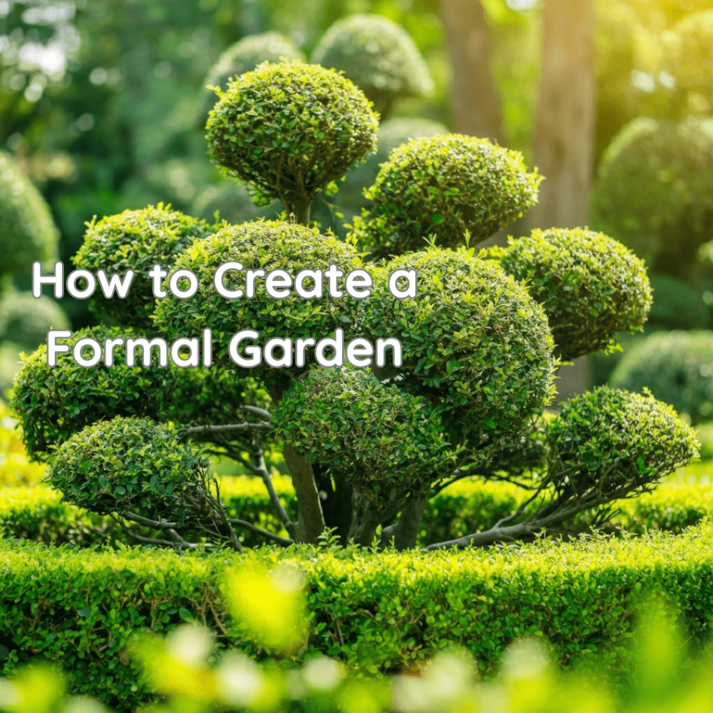 Garden Design: How to Create a Formal Garden