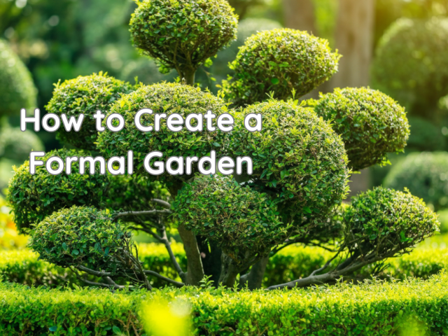 How to Create a Formal Garden
