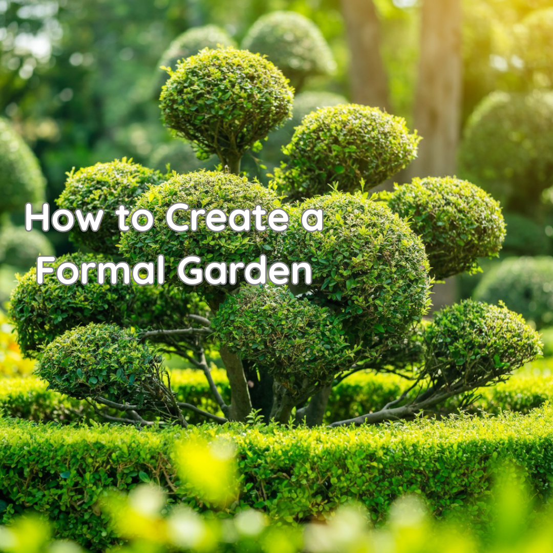 How to Create a Formal Garden