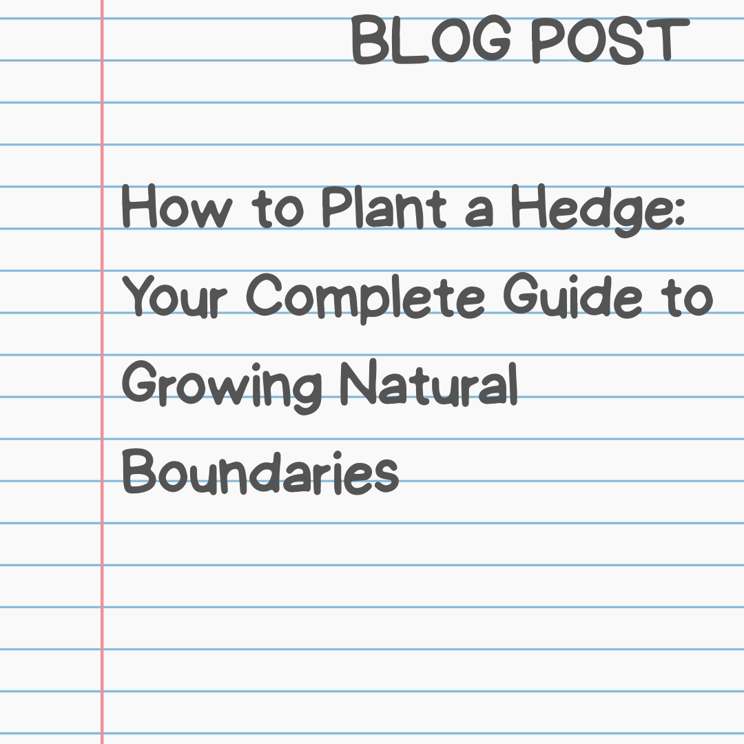 How to Plant a Hedge: Your Complete Guide to Growing Natural Boundaries