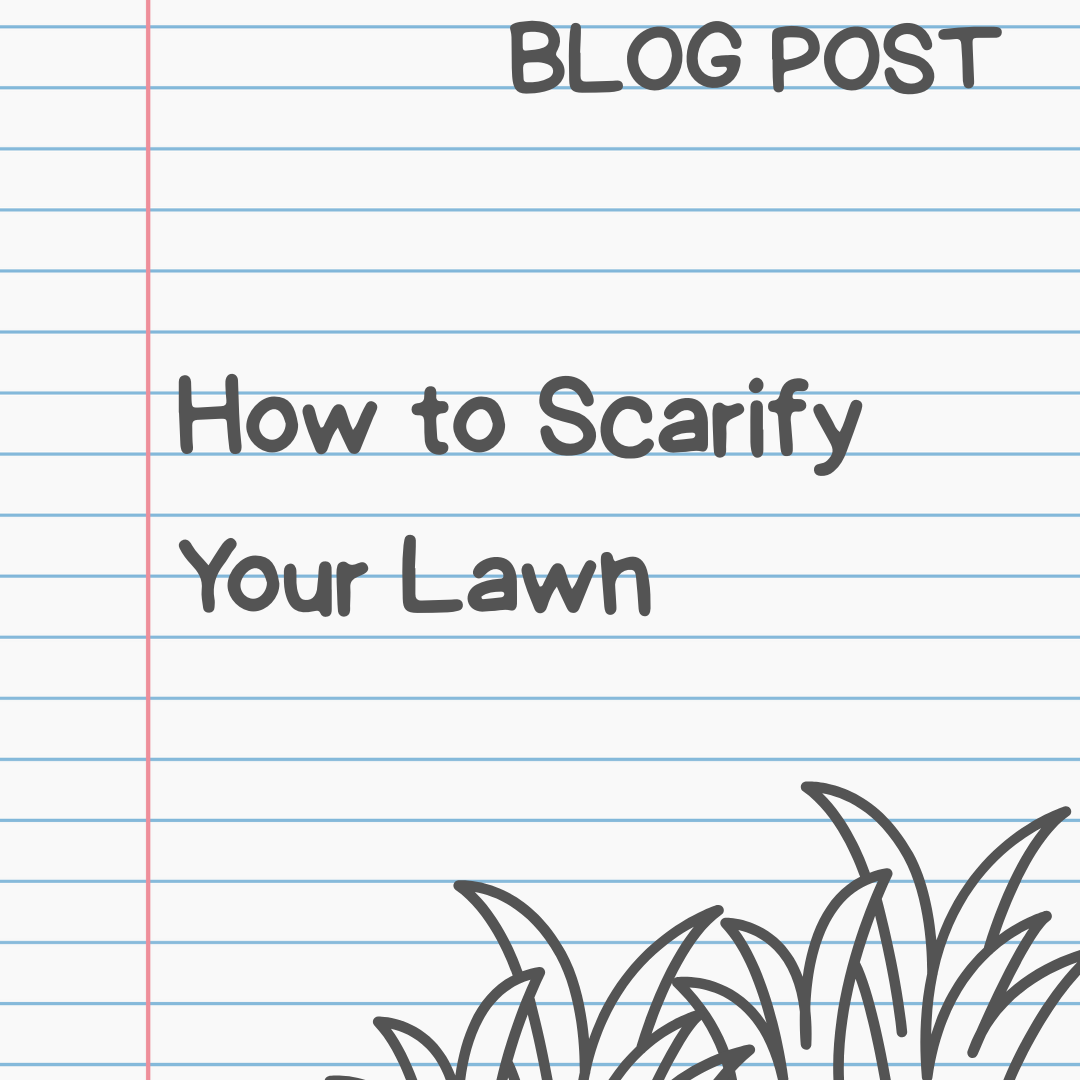 Blog Post How to Scarify your Lawn