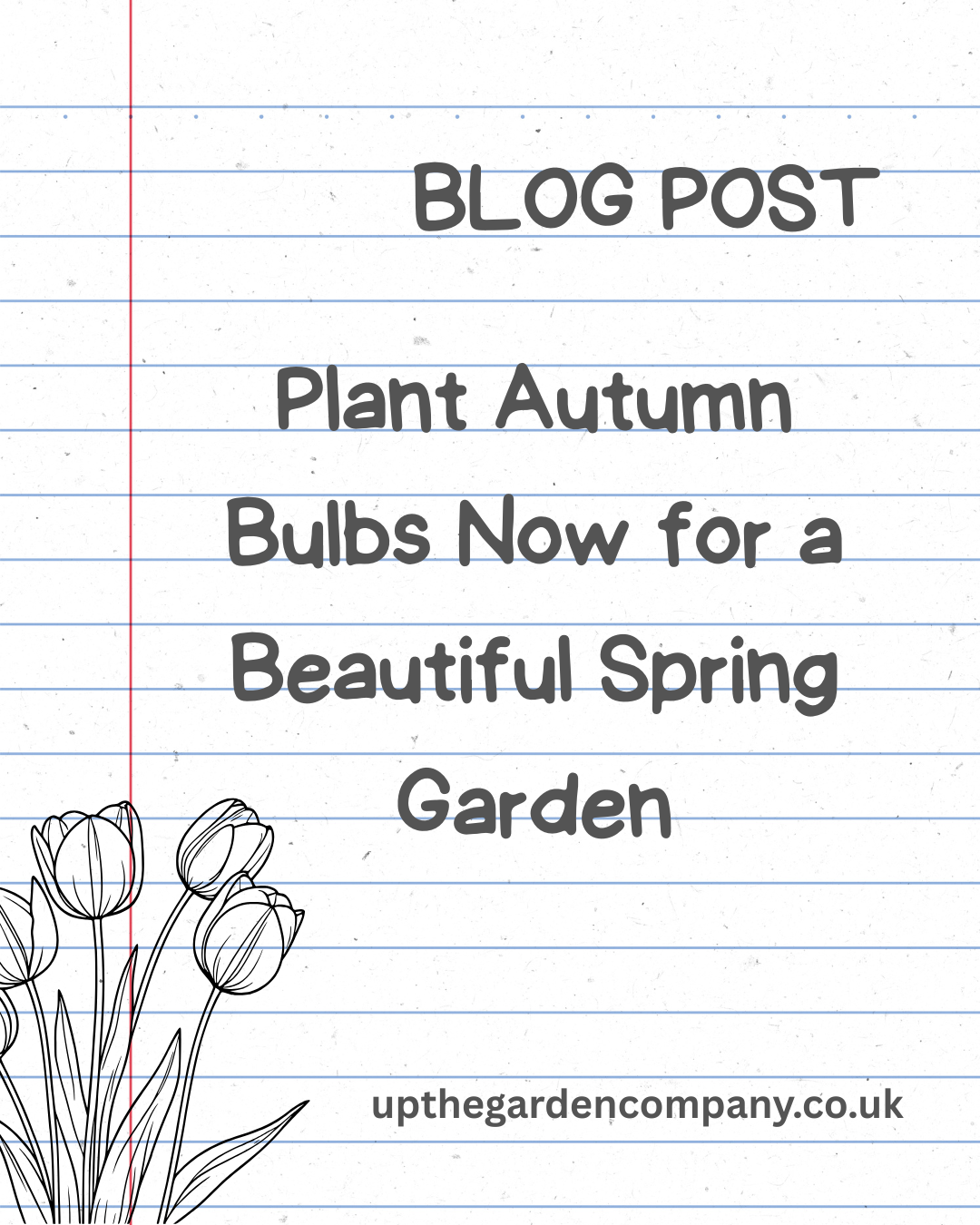 Plant Autumn Bulbs Now for a Beautiful Spring Garden