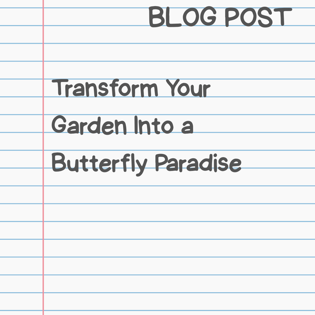 Blog: Transform Your Garden Into a Butterfly Paradise
