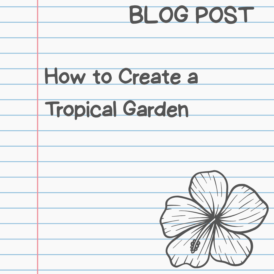 How to Create a Tropical Garden