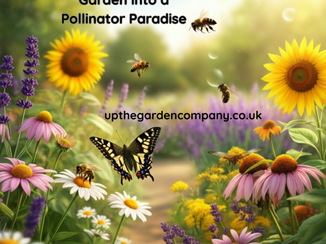 Transform Your Garden into a Pollinator Paradise
