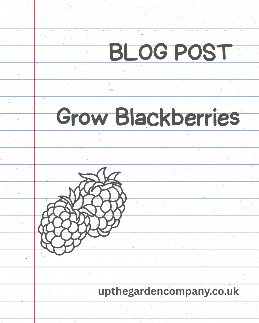 Growing Blackberries