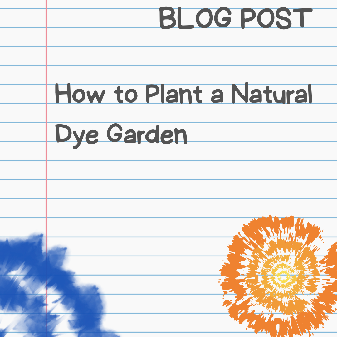 Blog Post. How to Plant a Natural Dye Garden