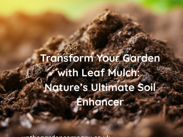 Leaf Mulch: Nature’s Ultimate Soil Enhancer