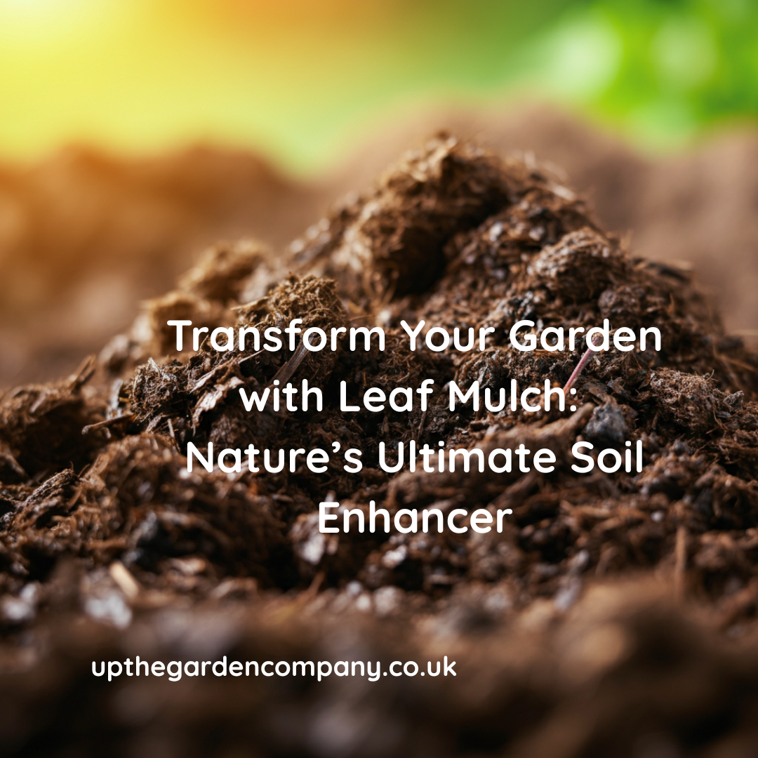 Leaf Mulch: Nature’s Ultimate Soil Enhancer