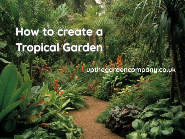 How to create a Tropical Garden