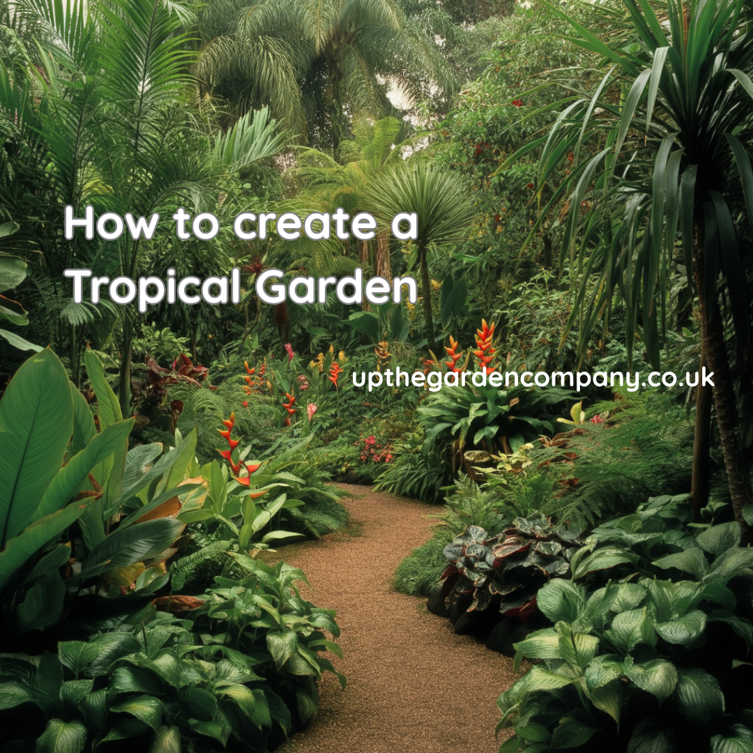 How to create a Tropical Garden