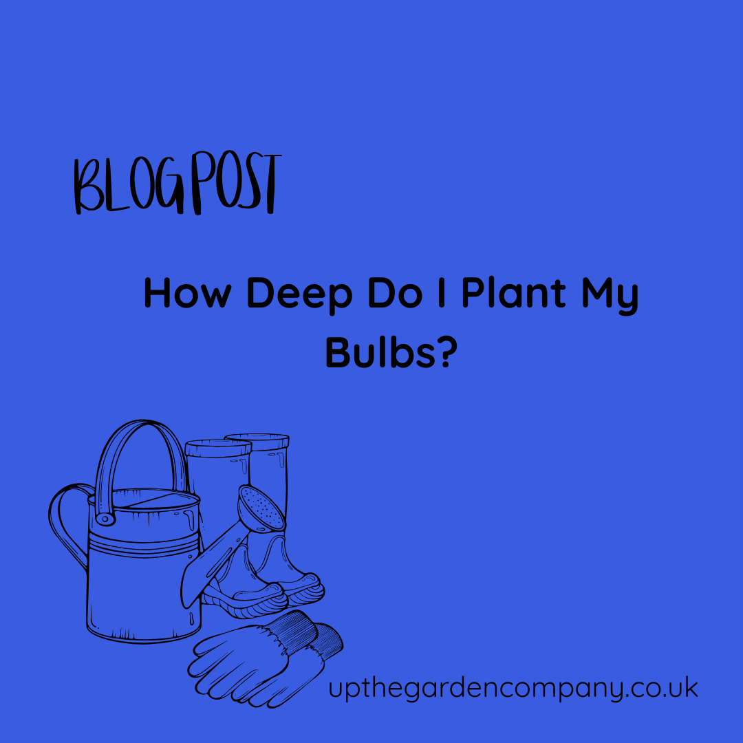 How Deep Do I Plant My Bulbs?