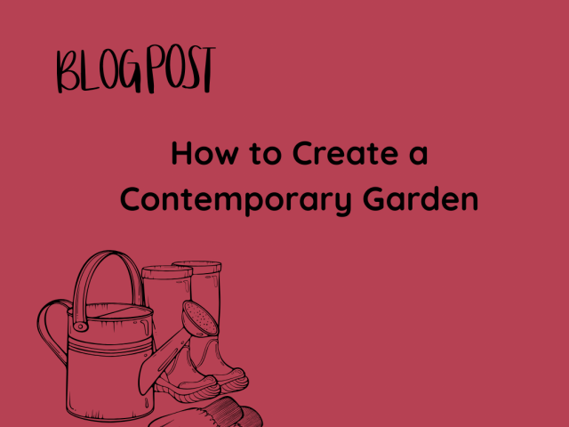 How to Create a Contemporary Garden
