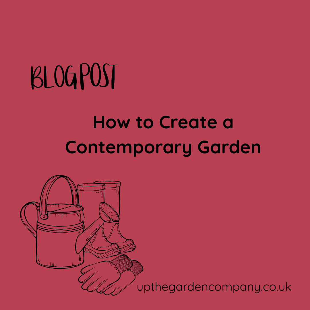 How to Create a Contemporary Garden