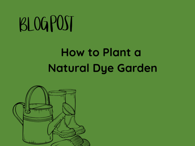 How to Plant a Natural Dye Garden