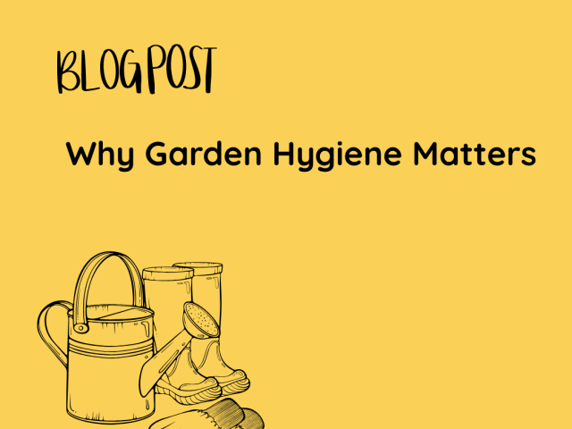 Why Garden Hygiene Matters