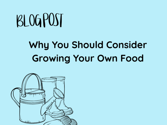 Why You Should Consider Growing Your Own Food