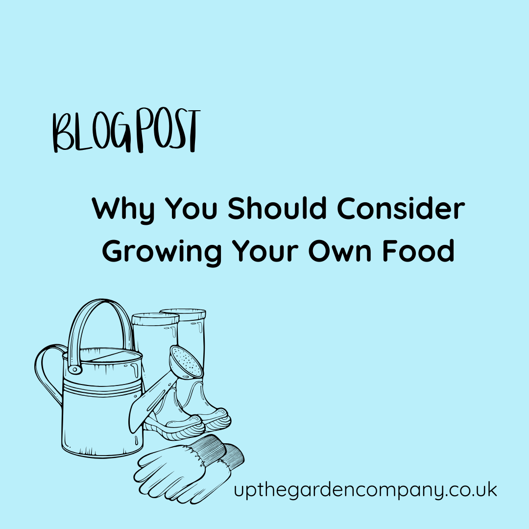 Why You Should consider Growing your own Food.