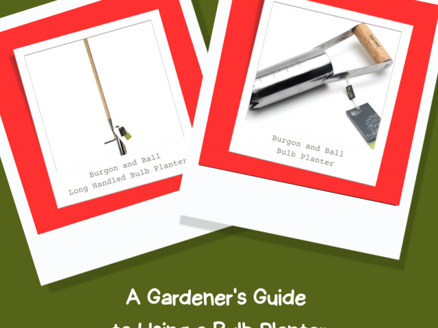 Garden Tools: Using a Bulb Planter