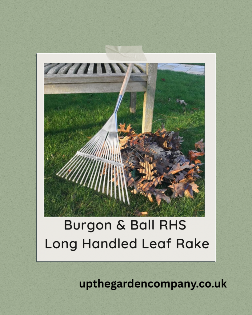 Burgon and Ball RHS Lond Handled Leaf Rake