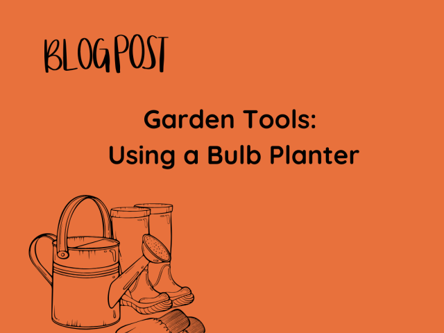 Garden Tools: Using a Bulb Planter