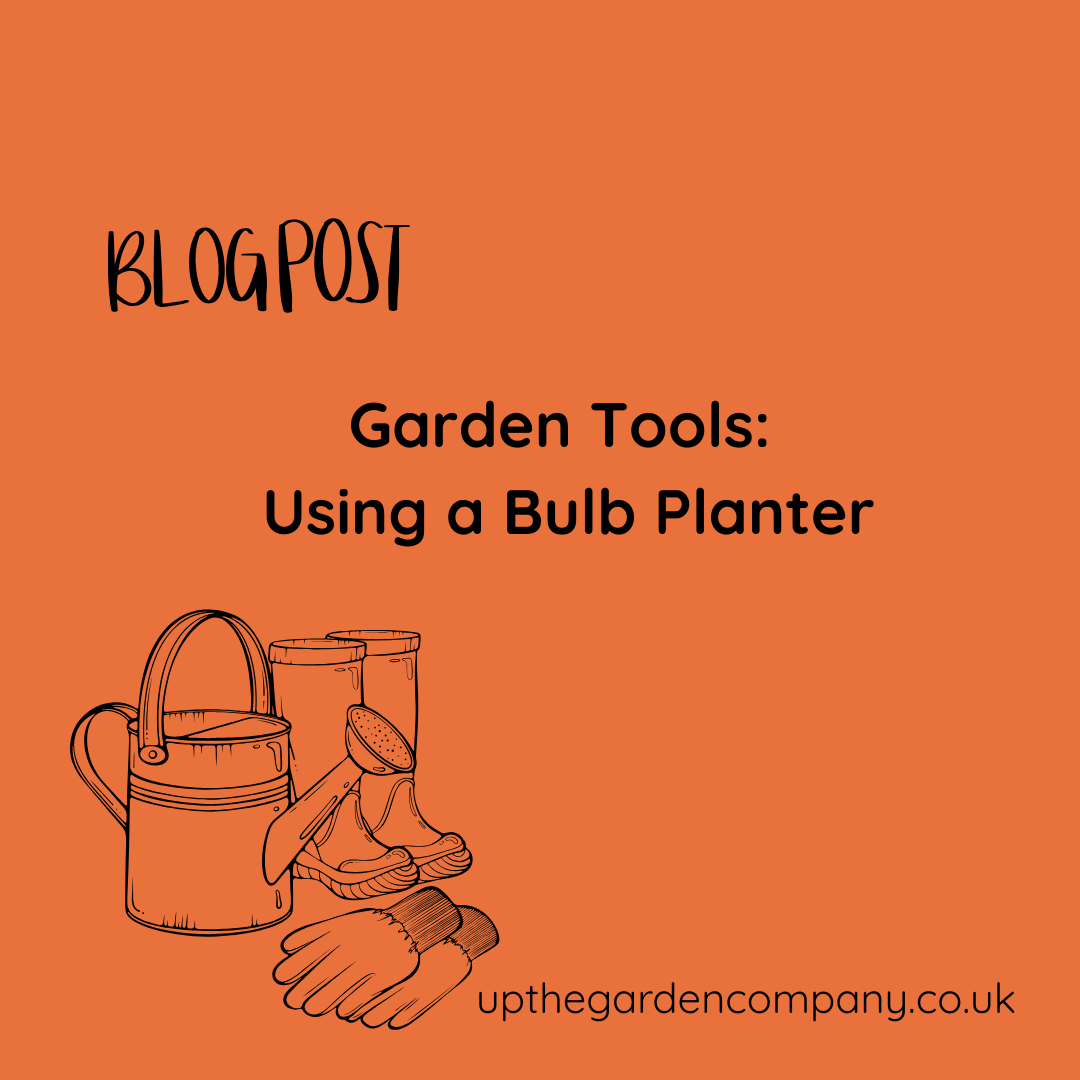 Garden Tools: Using a Bulb Planter