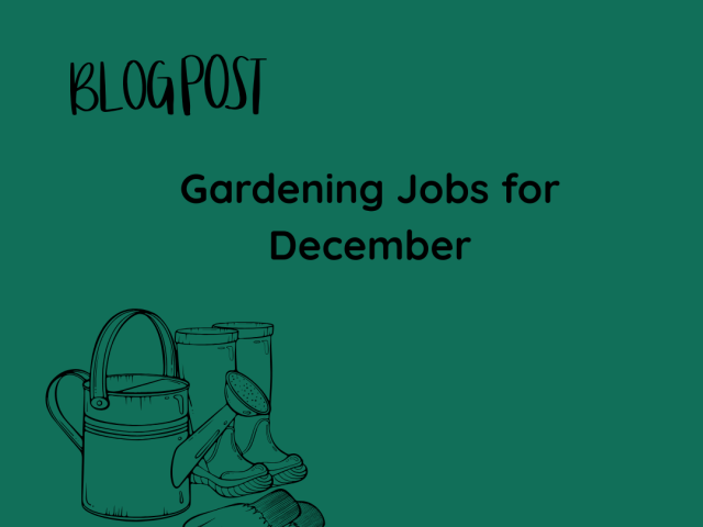 Gardening Jobs for December