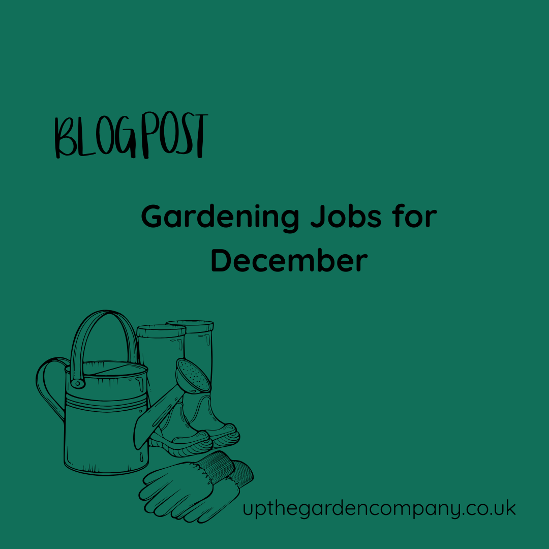 Gardening Jobs for December
