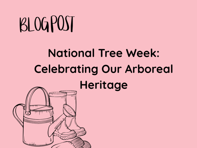National Tree Week: Celebrating Our Arboreal Heritage